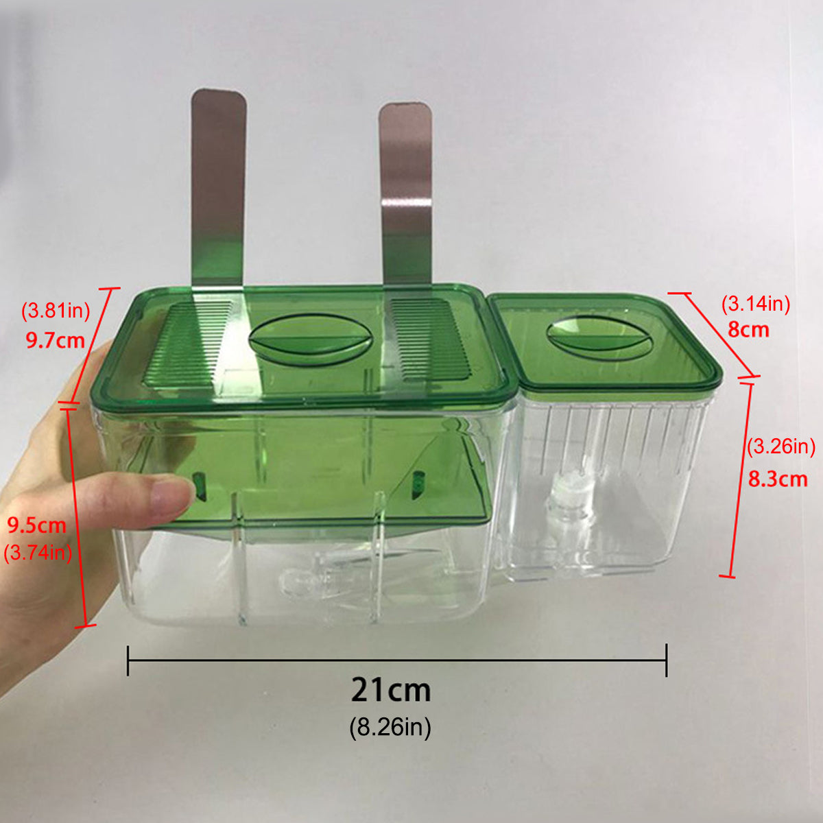 Double-Layer Fish Isolation Box