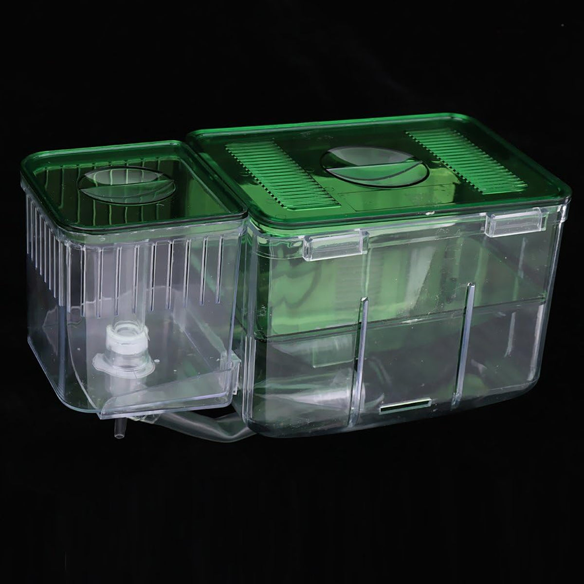 Double-Layer Fish Isolation Box