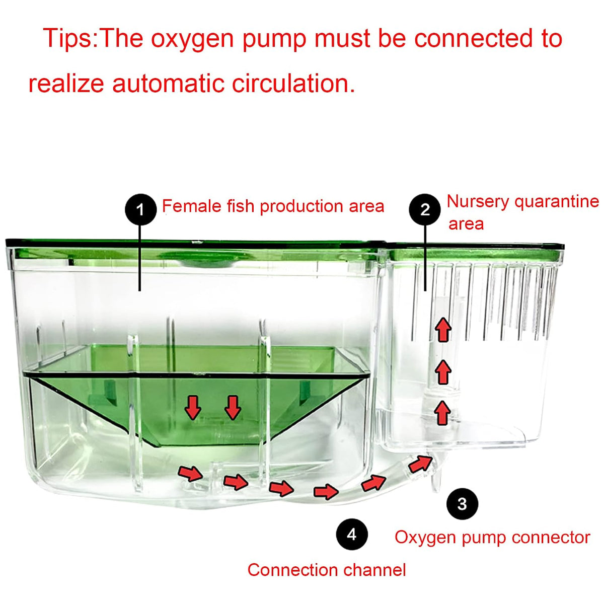 Double-Layer Fish Isolation Box