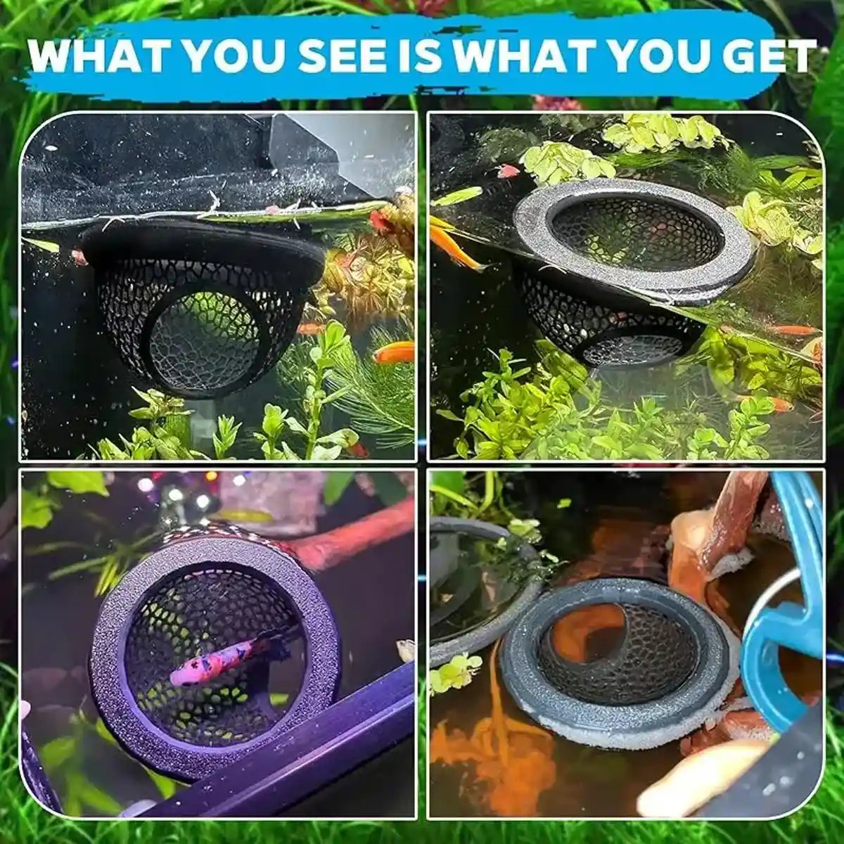 Floating Fish Lounge Resting & Hiding Area for Bettas and Small Fish