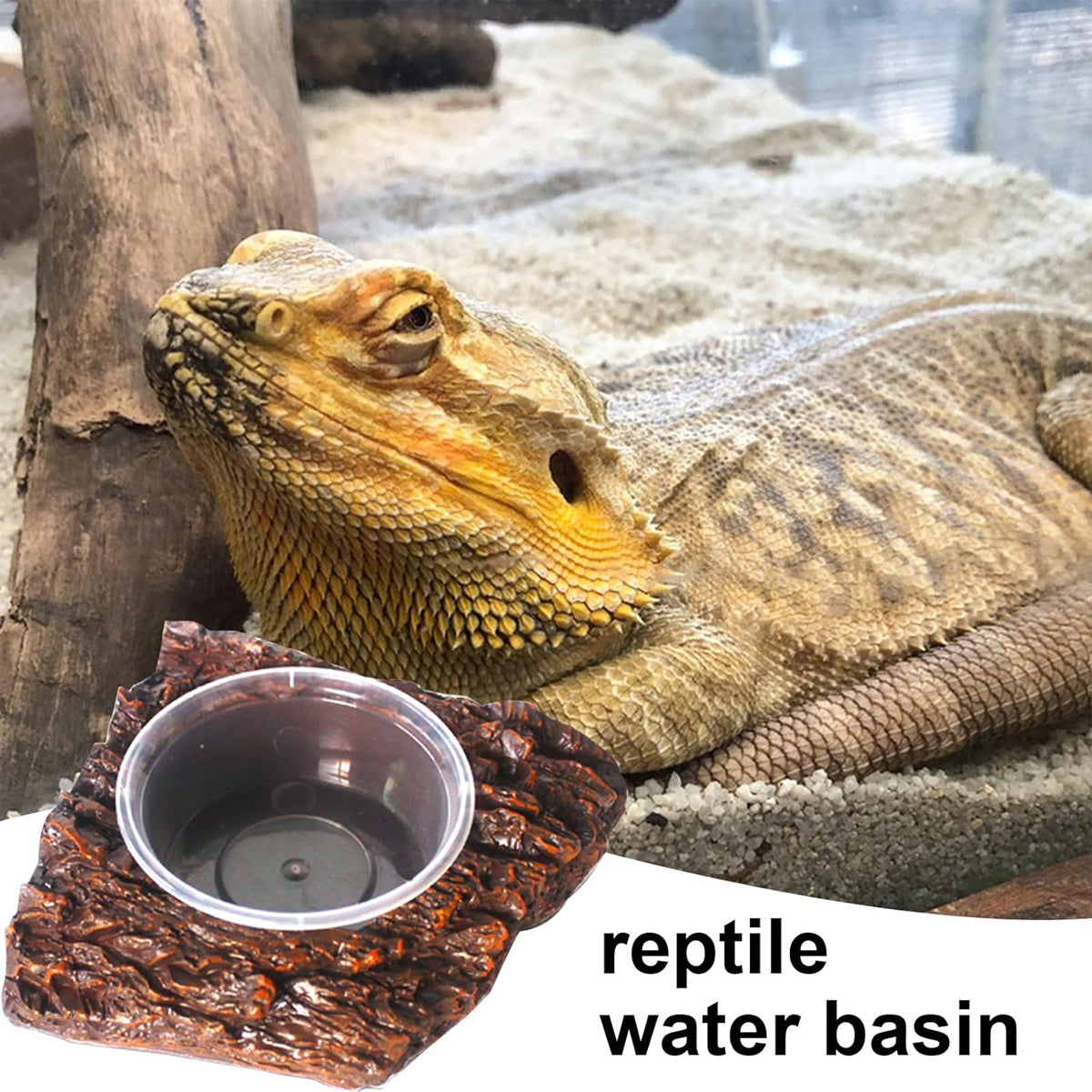 Resin Reptile Feeding Basin with Natural Rock Design