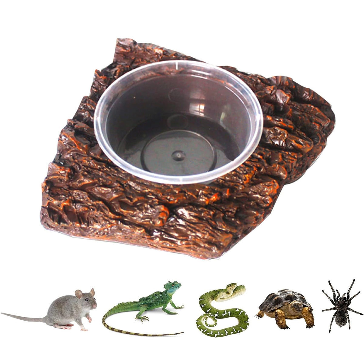 Resin Reptile Feeding Basin with Natural Rock Design