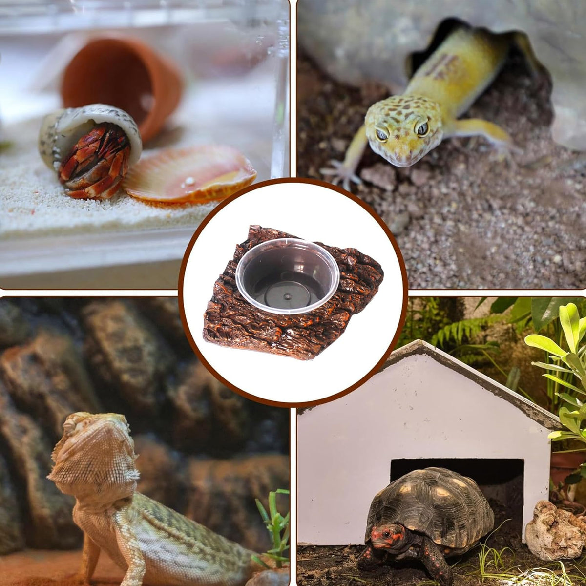 Resin Reptile Feeding Basin with Natural Rock Design