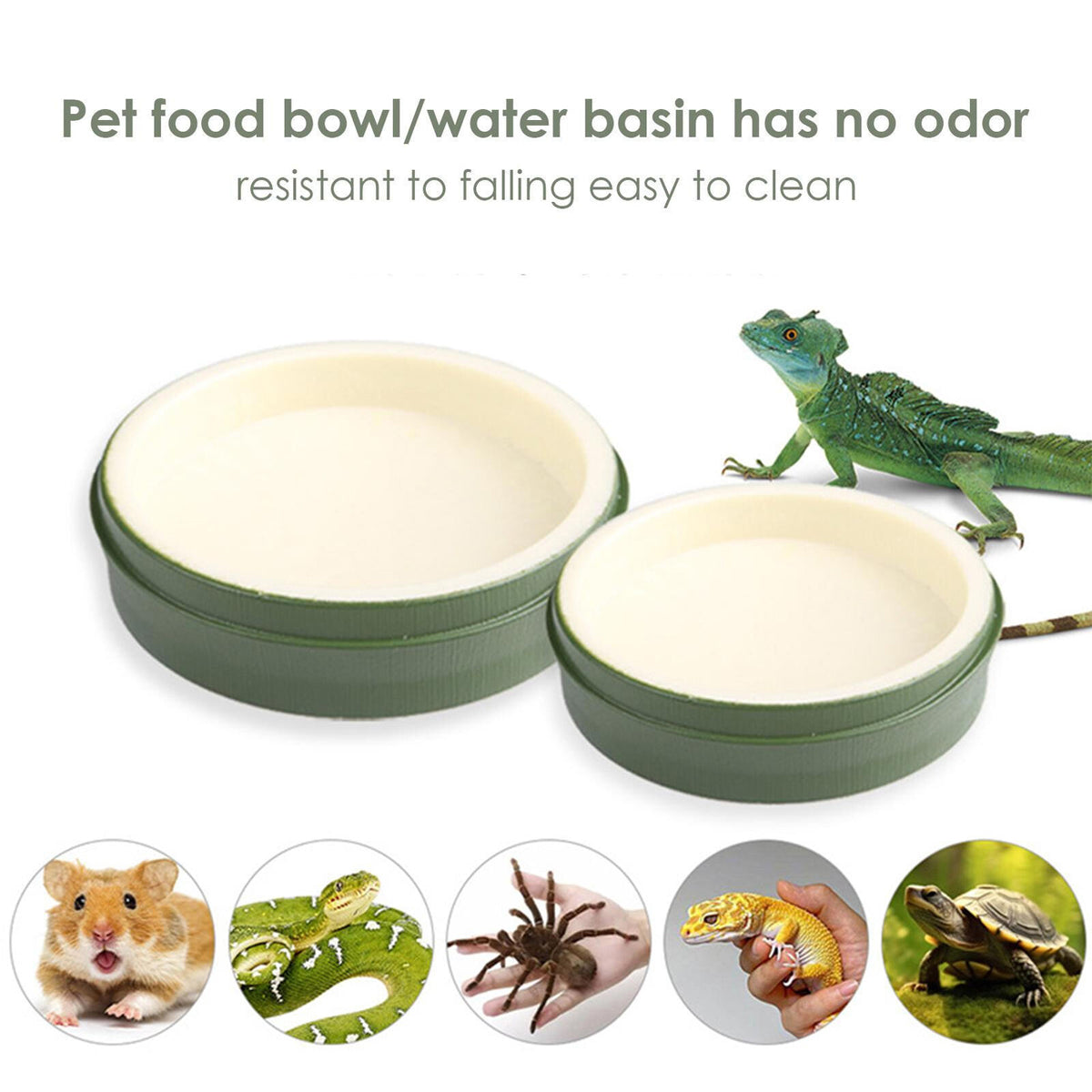 Leaf-Shaped Reptile Feeding Dish Plastic Water Bowl for Terrarium