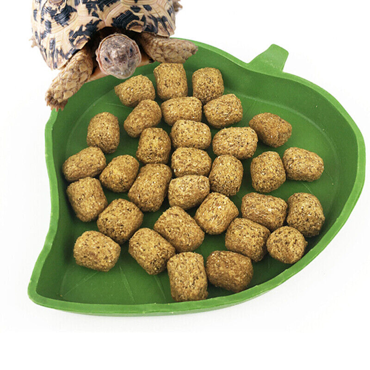 Leaf-Shaped Reptile Feeding Dish Plastic Water Bowl for Terrarium
