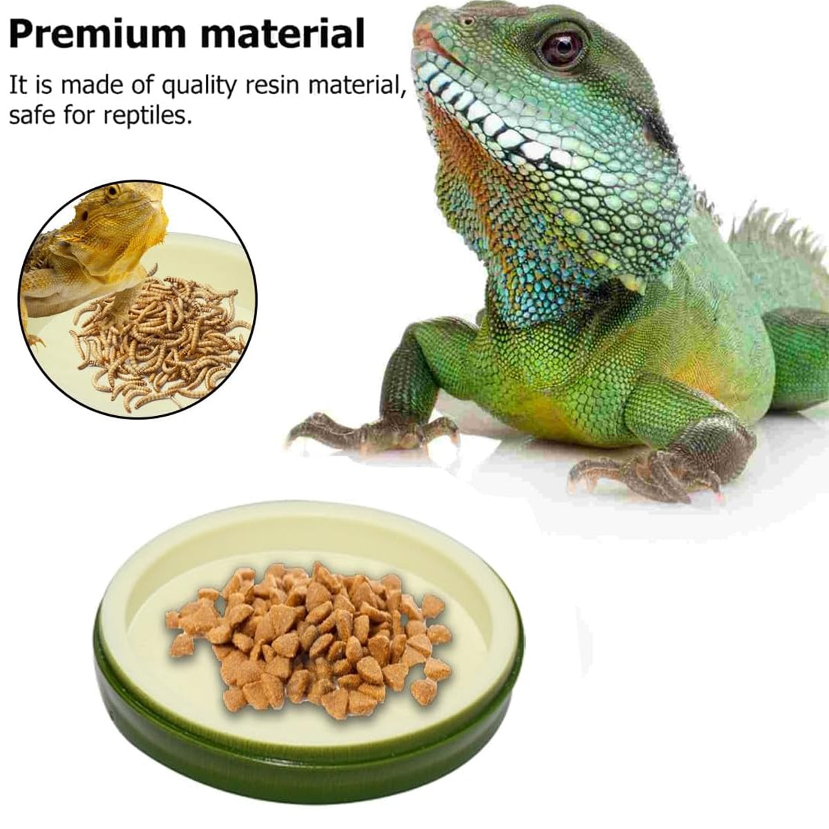 Leaf-Shaped Reptile Feeding Dish Plastic Water Bowl for Terrarium