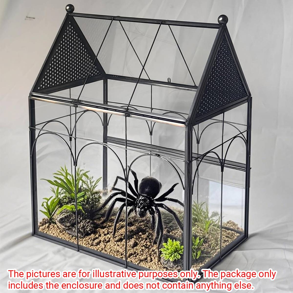 Glass Insect Terrarium Breeding Box With Ventilation