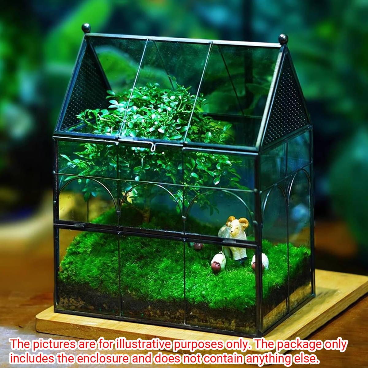 Glass Insect Terrarium Breeding Box With Ventilation