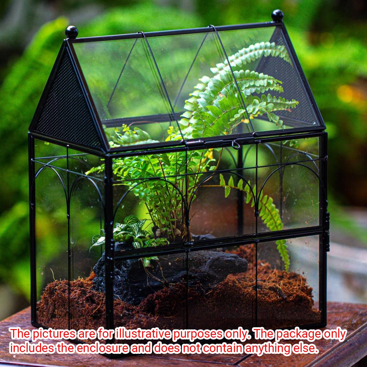 Glass Insect Terrarium Breeding Box With Ventilation