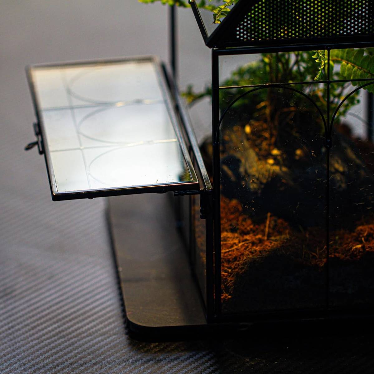 Glass Insect Terrarium Breeding Box With Ventilation