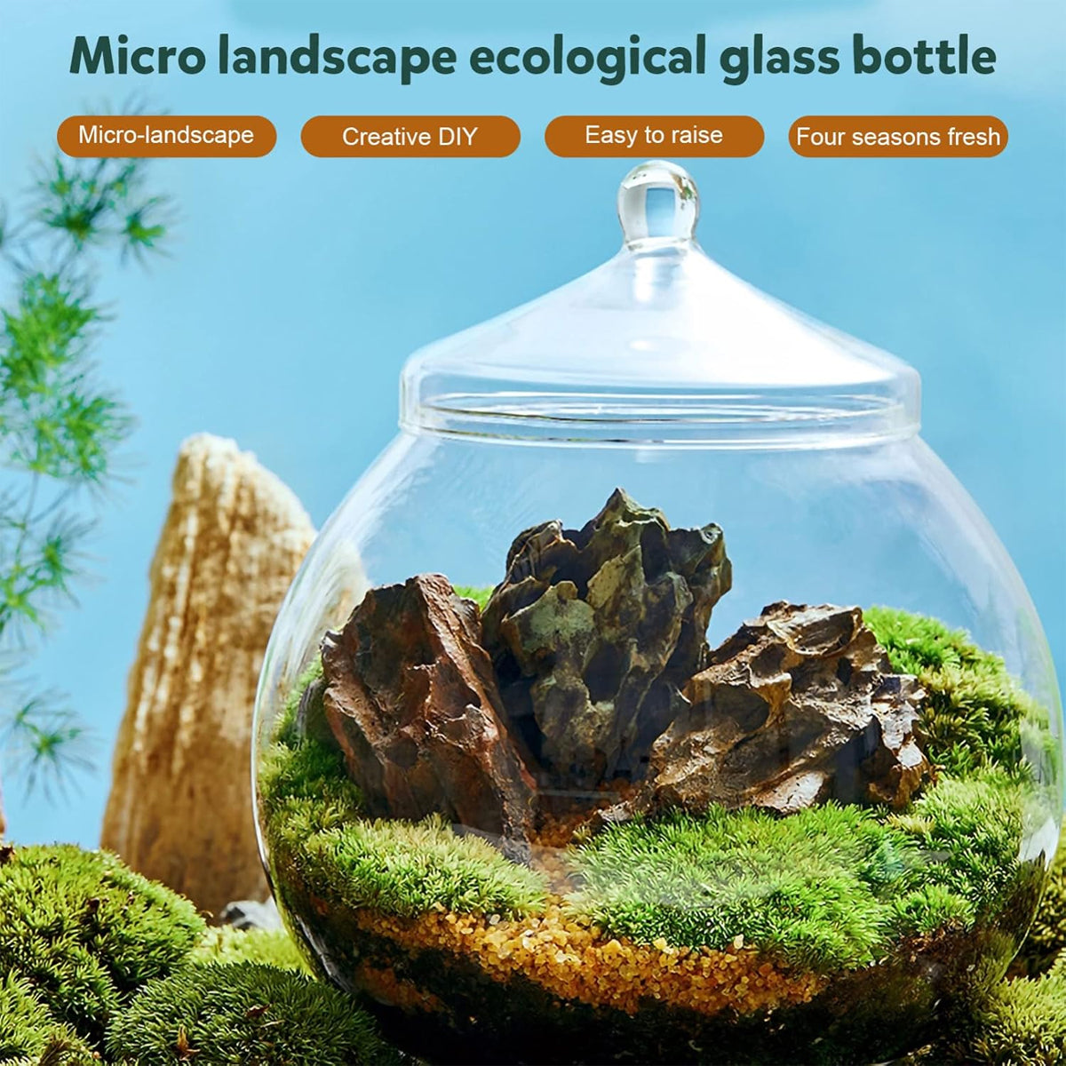 Glass Terrarium Jar Mini Indoor Plant Ecosystem