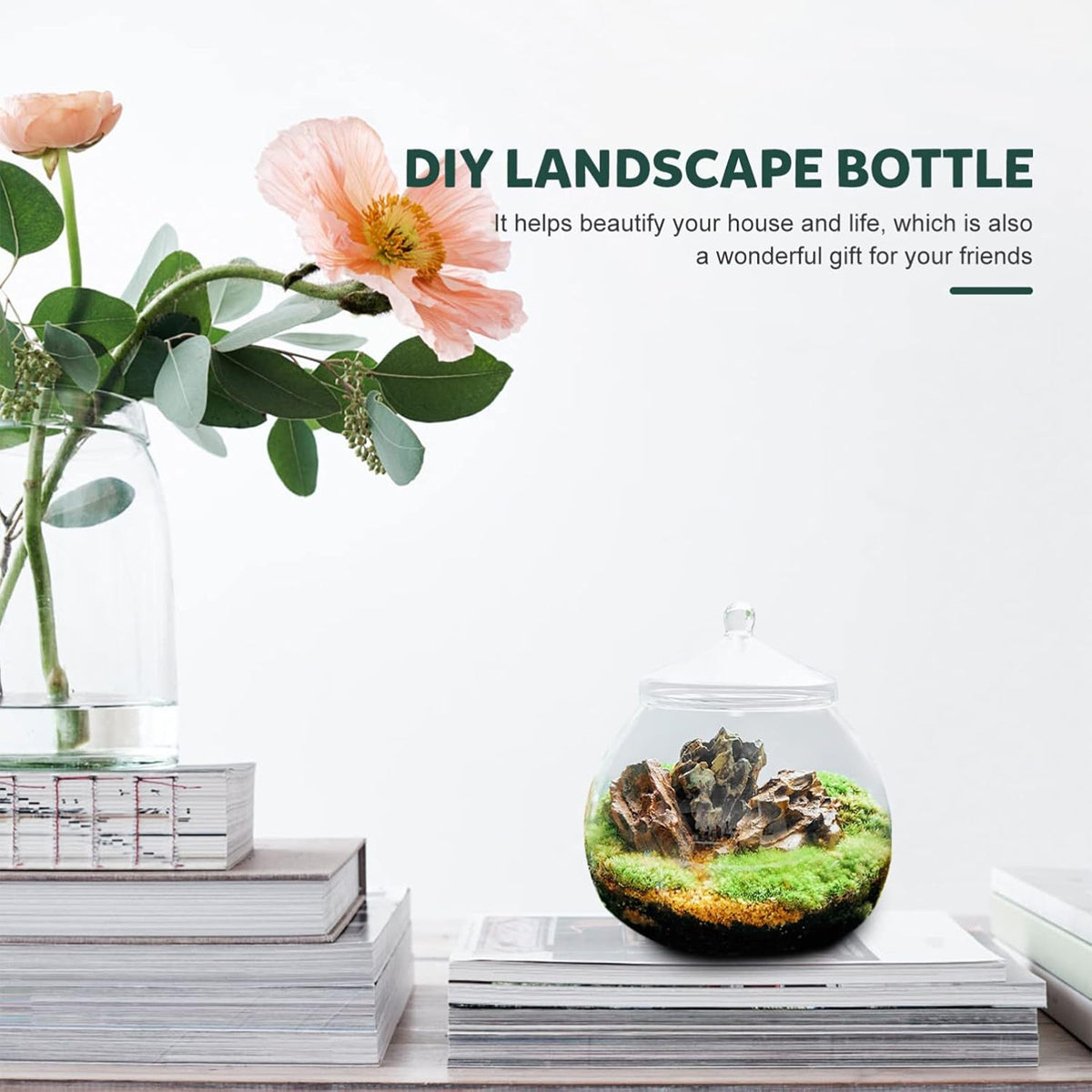 Glass Terrarium Jar Mini Indoor Plant Ecosystem
