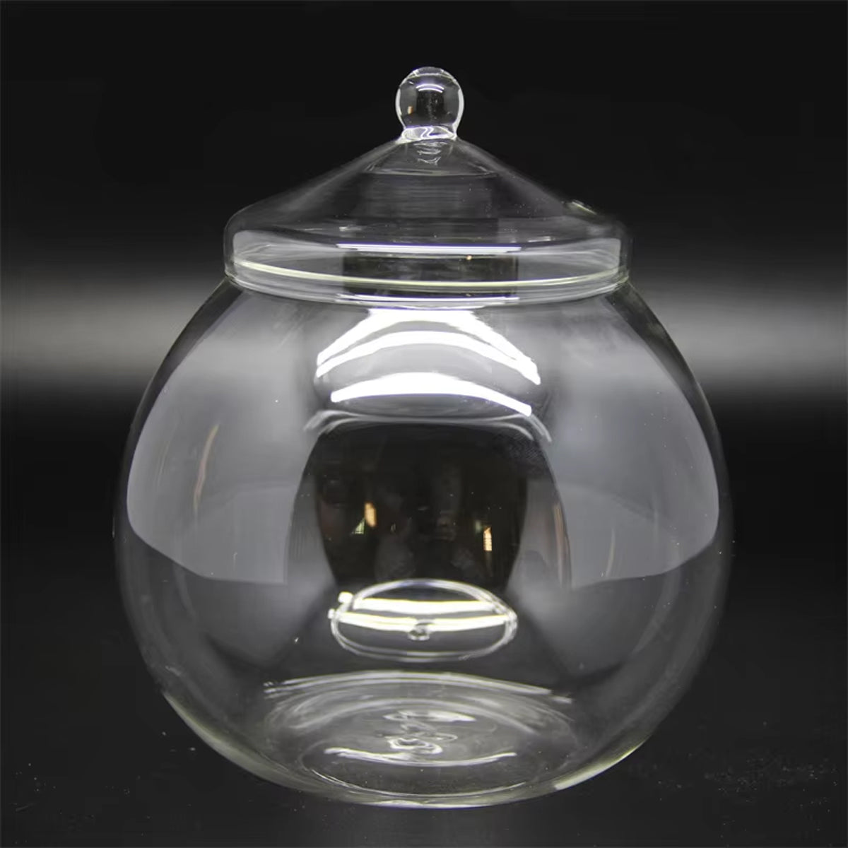 Glass Terrarium Jar Mini Indoor Plant Ecosystem