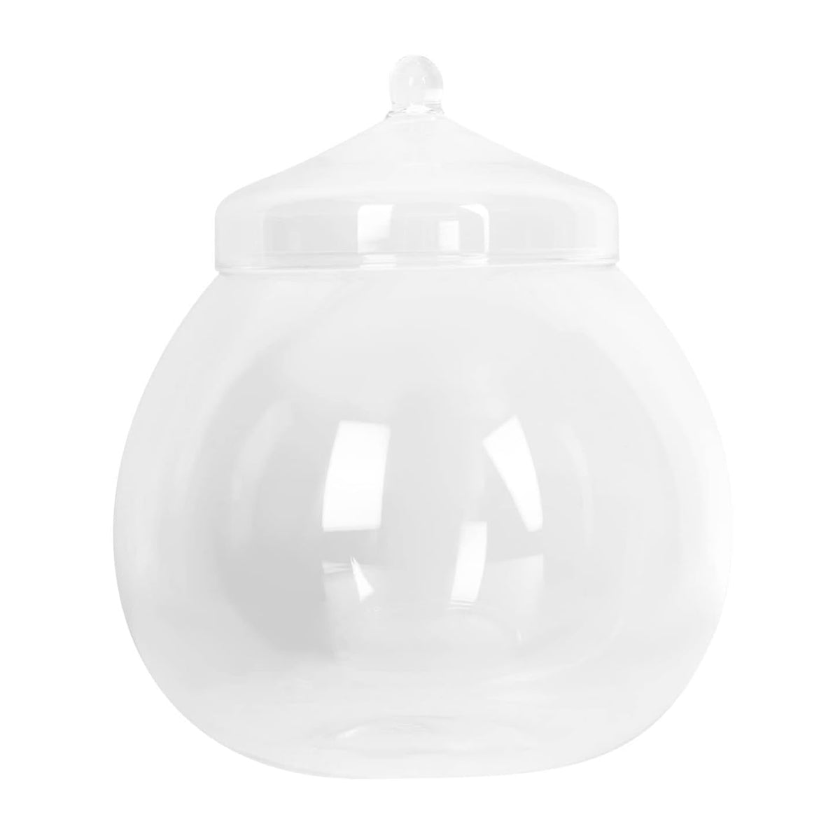 Glass Terrarium Jar Mini Indoor Plant Ecosystem