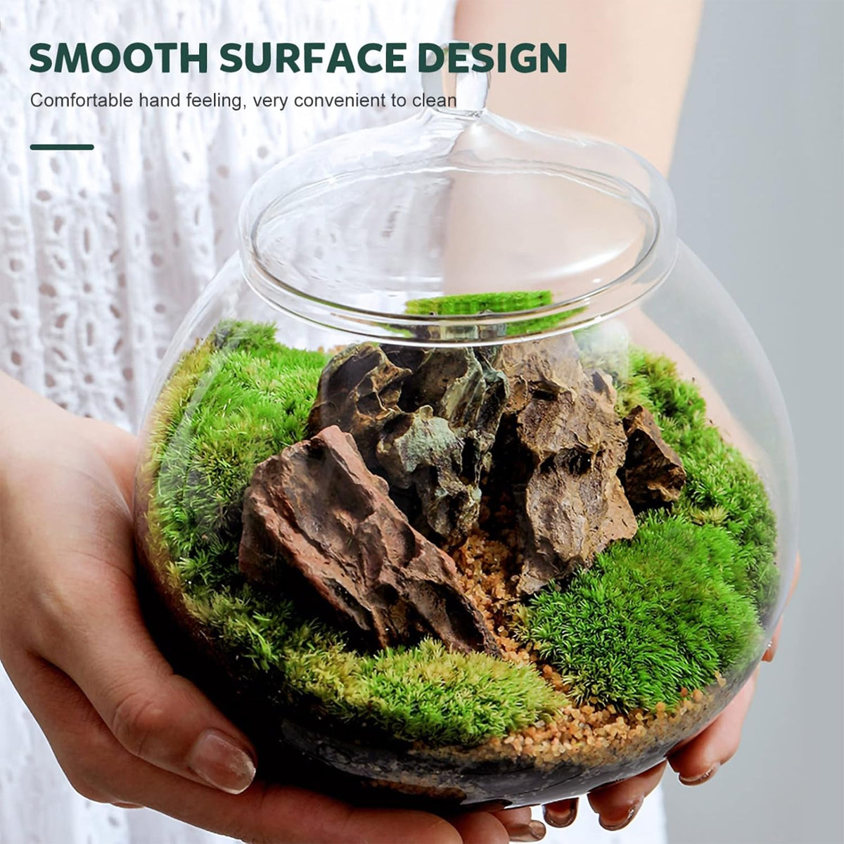 Glass Terrarium Jar Mini Indoor Plant Ecosystem
