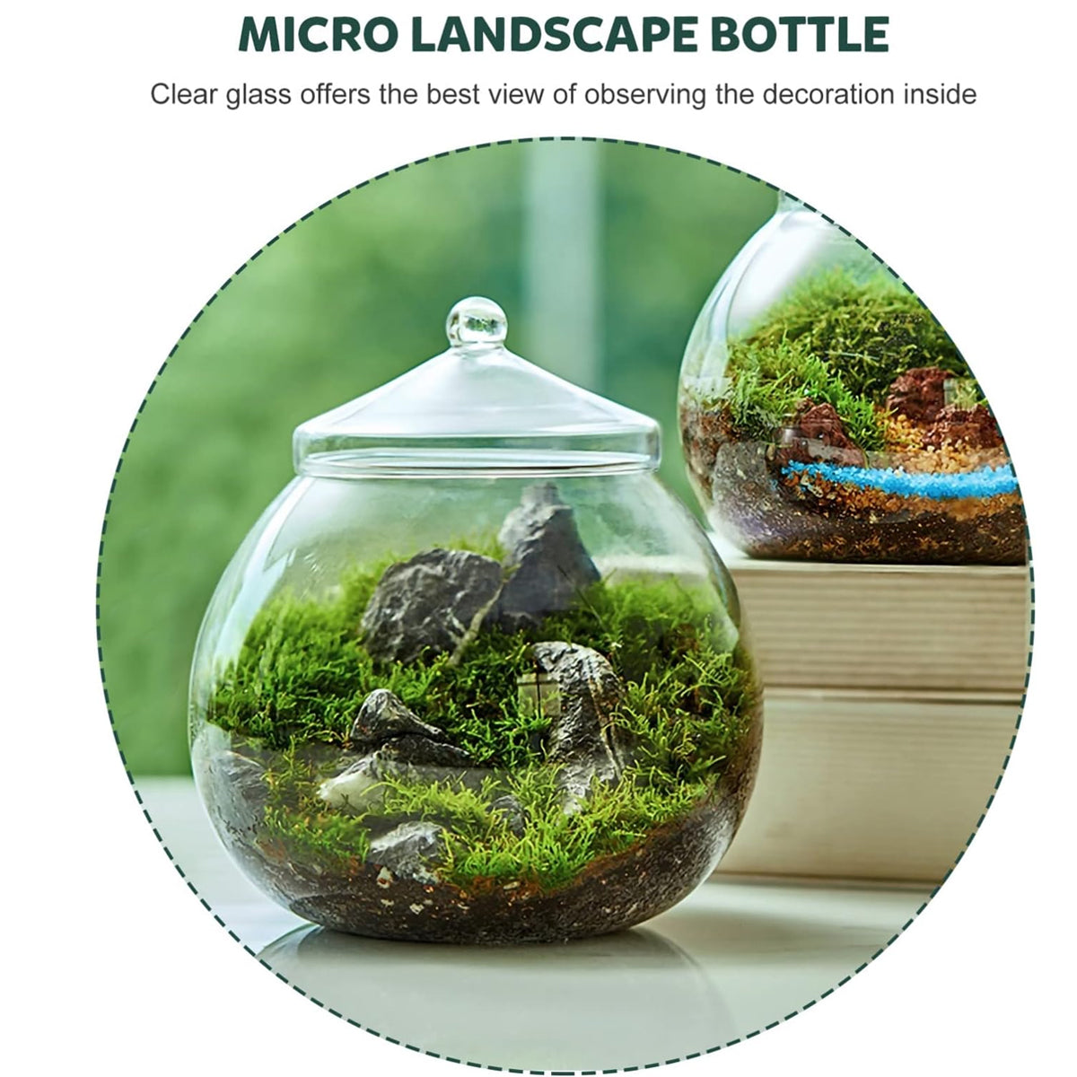 Glass Terrarium Jar Mini Indoor Plant Ecosystem