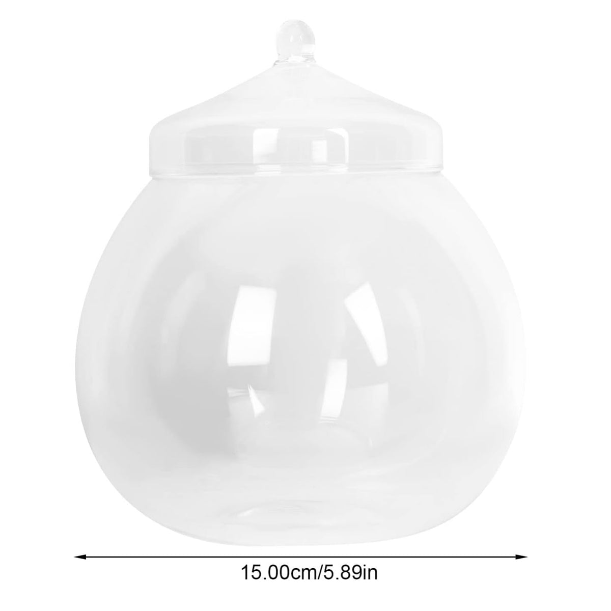 Glass Terrarium Jar Mini Indoor Plant Ecosystem
