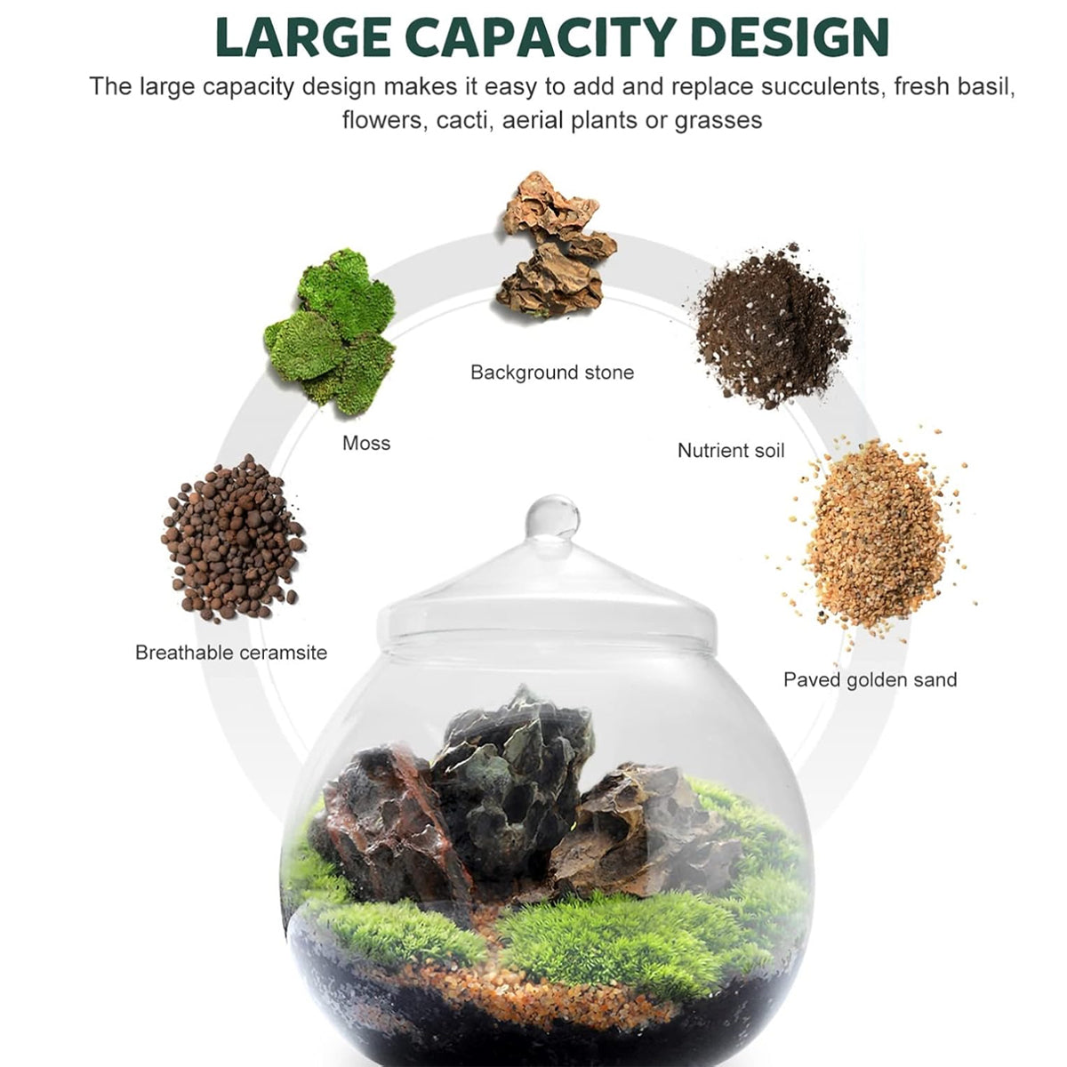 Glass Terrarium Jar Mini Indoor Plant Ecosystem