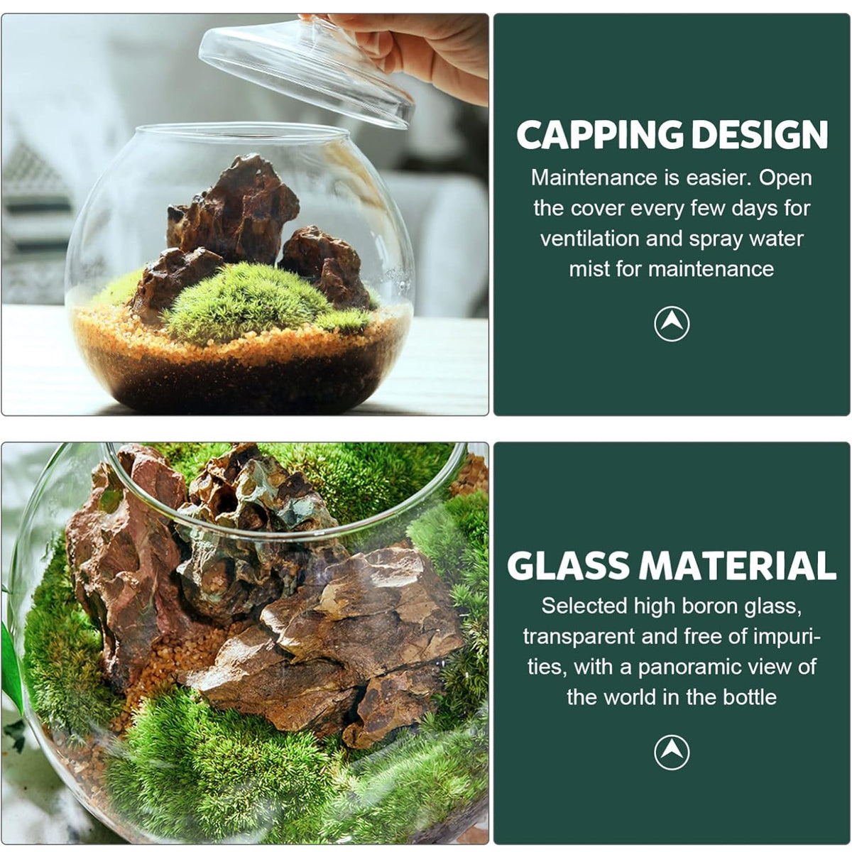 Glass Terrarium Jar Mini Indoor Plant Ecosystem