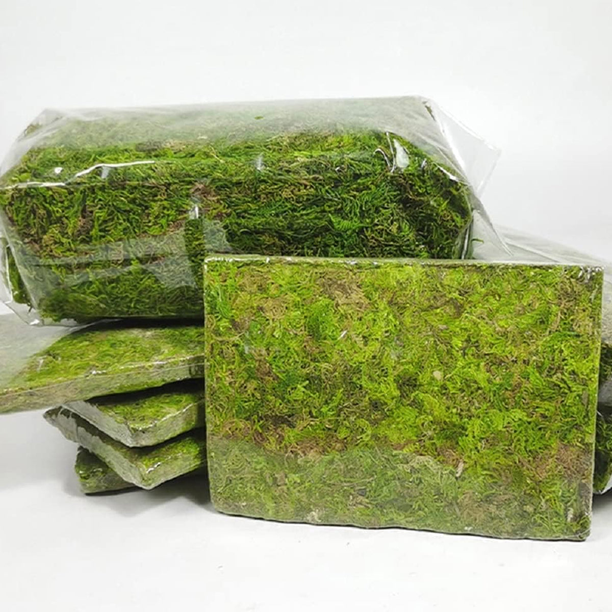 Compressed Natural Moss Mat For Reptiles Terrariums Humidity Control