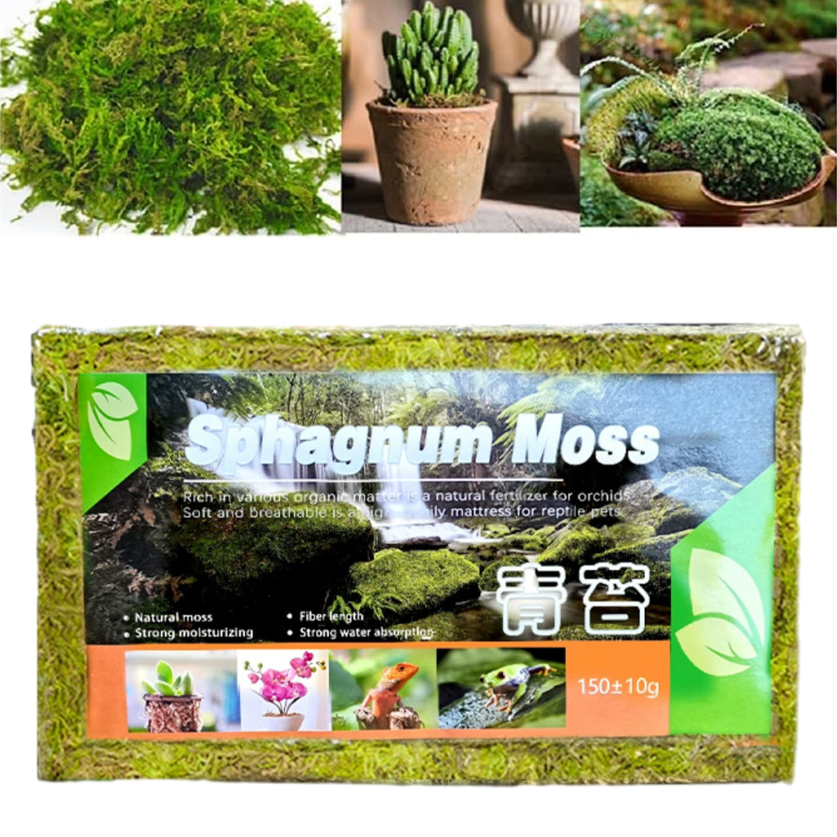 Compressed Natural Moss Mat For Reptiles Terrariums Humidity Control