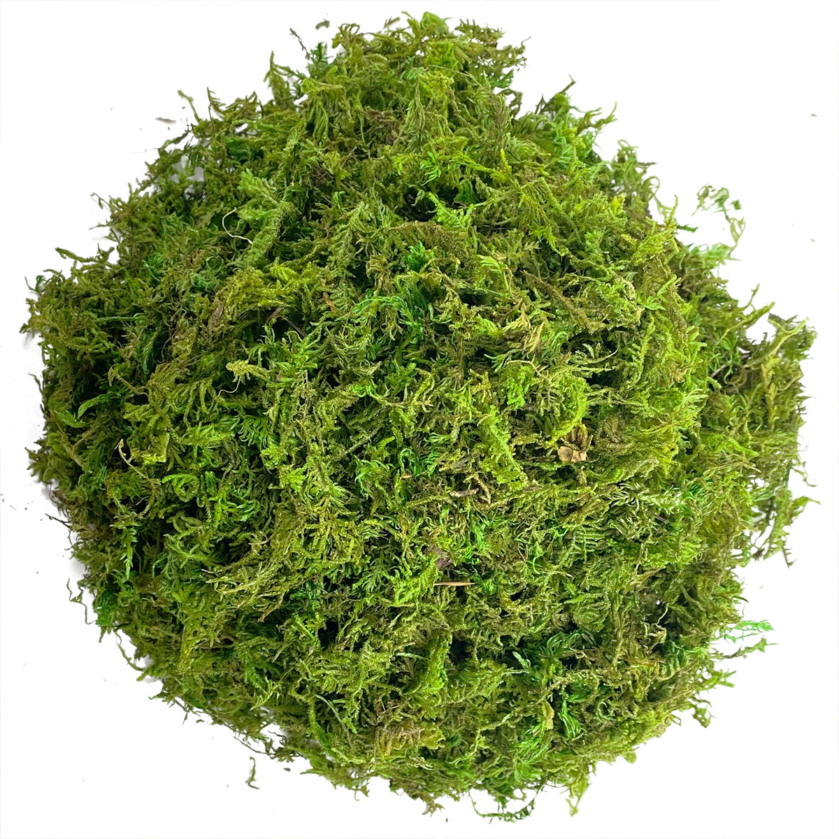 Compressed Natural Moss Mat For Reptiles Terrariums Humidity Control