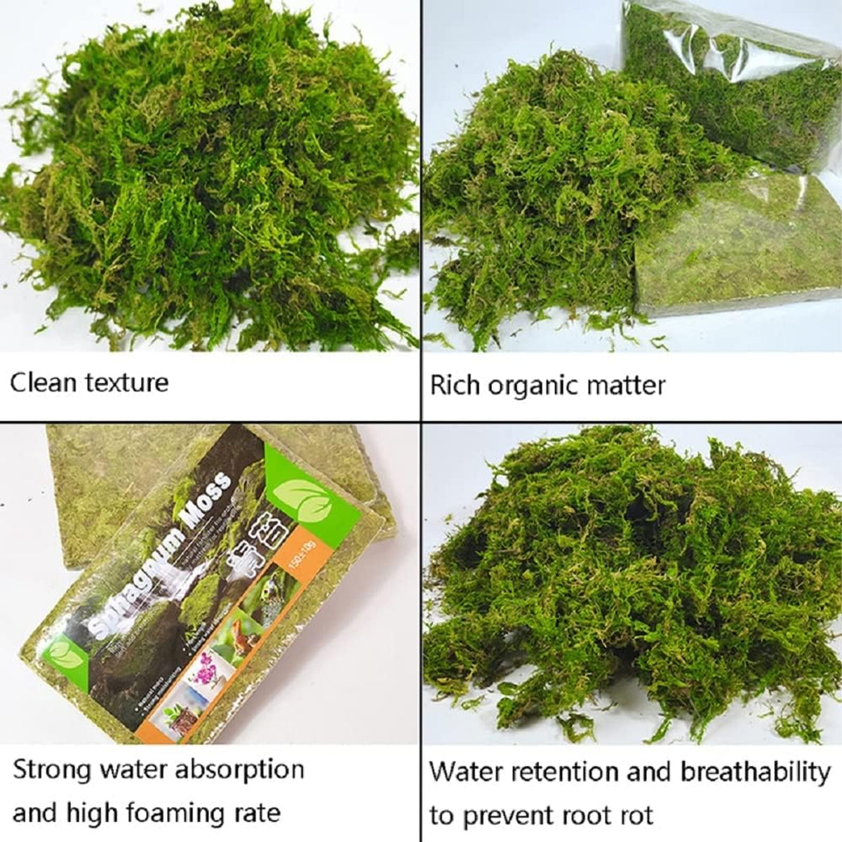 Compressed Natural Moss Mat For Reptiles Terrariums Humidity Control