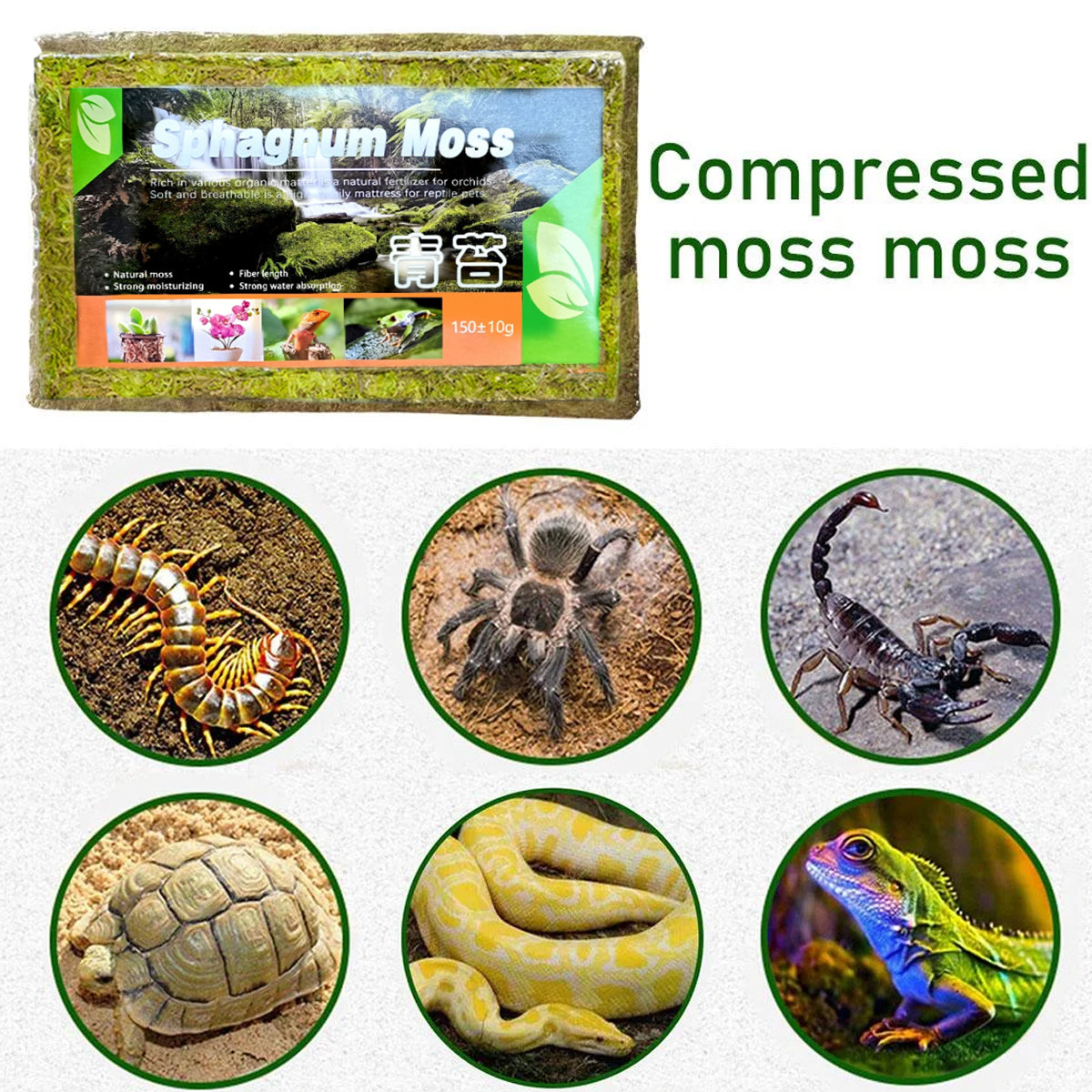 Compressed Natural Moss Mat For Reptiles Terrariums Humidity Control