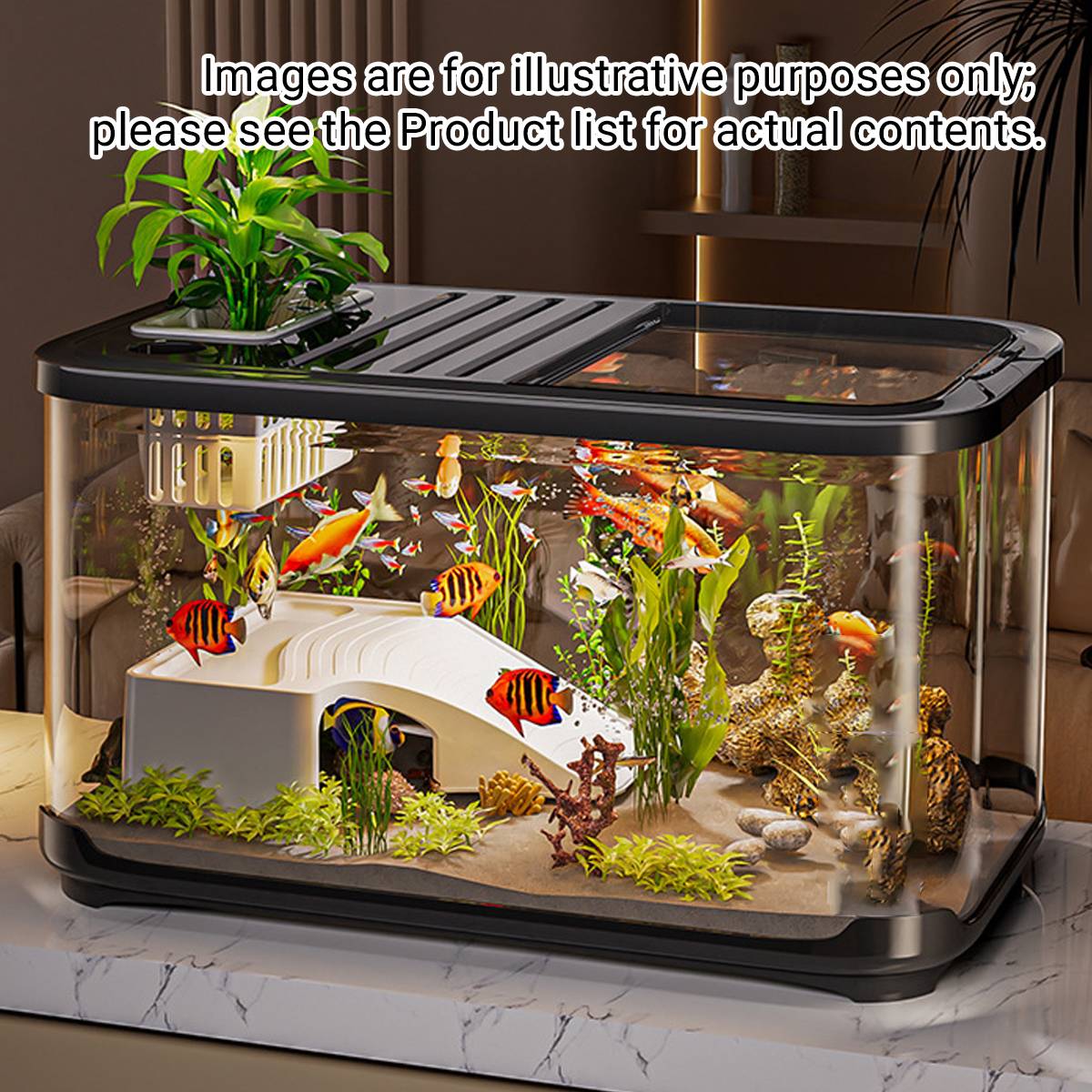 Desktop Glass Fish Tank Aquarium With Lid