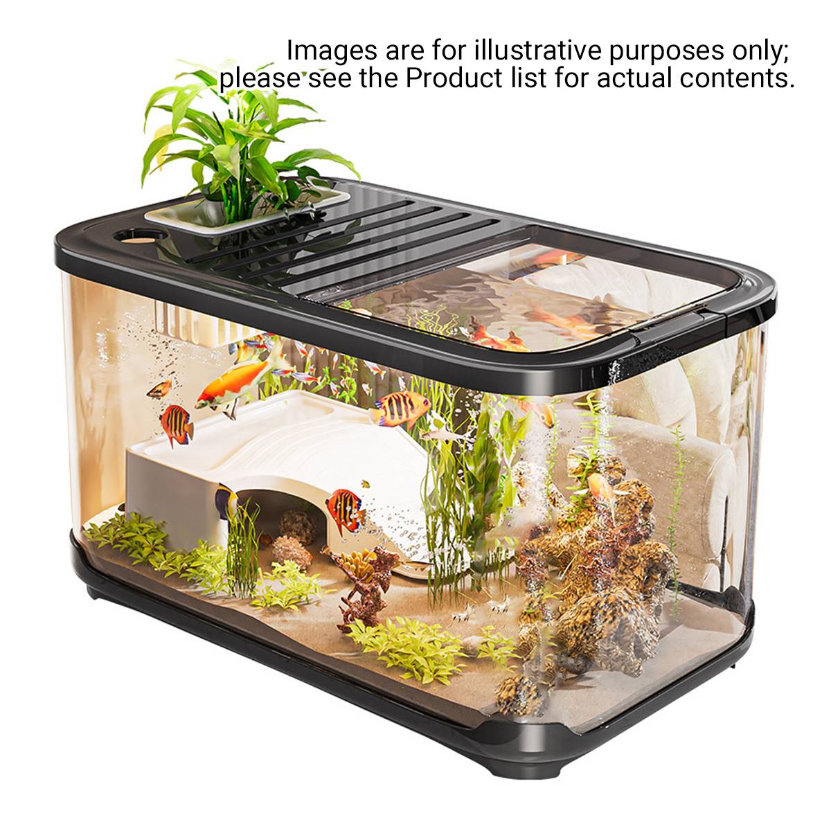 Desktop Glass Fish Tank Aquarium With Lid