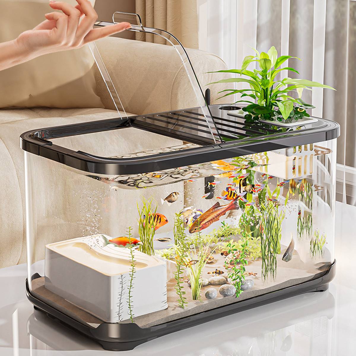 Desktop Glass Fish Tank Aquarium With Lid