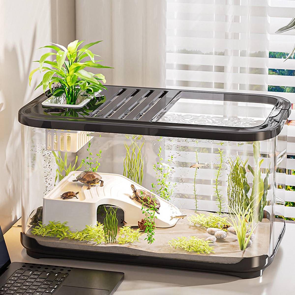 Desktop Glass Fish Tank Aquarium With Lid