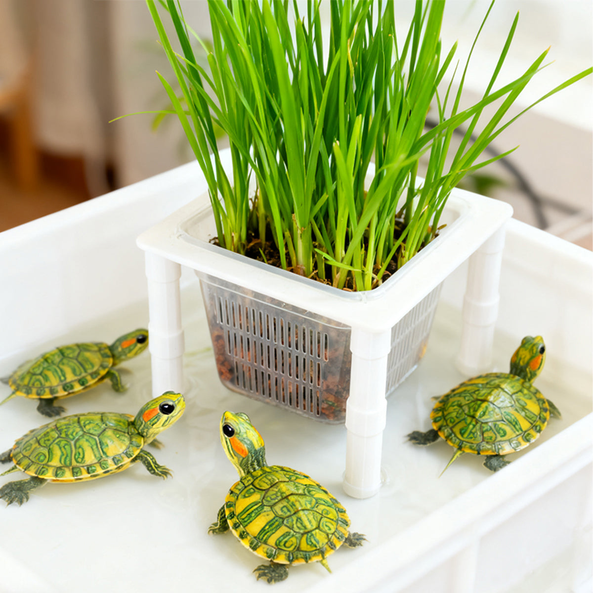 Hydroponic Plant Basket Bracket for Aquarium