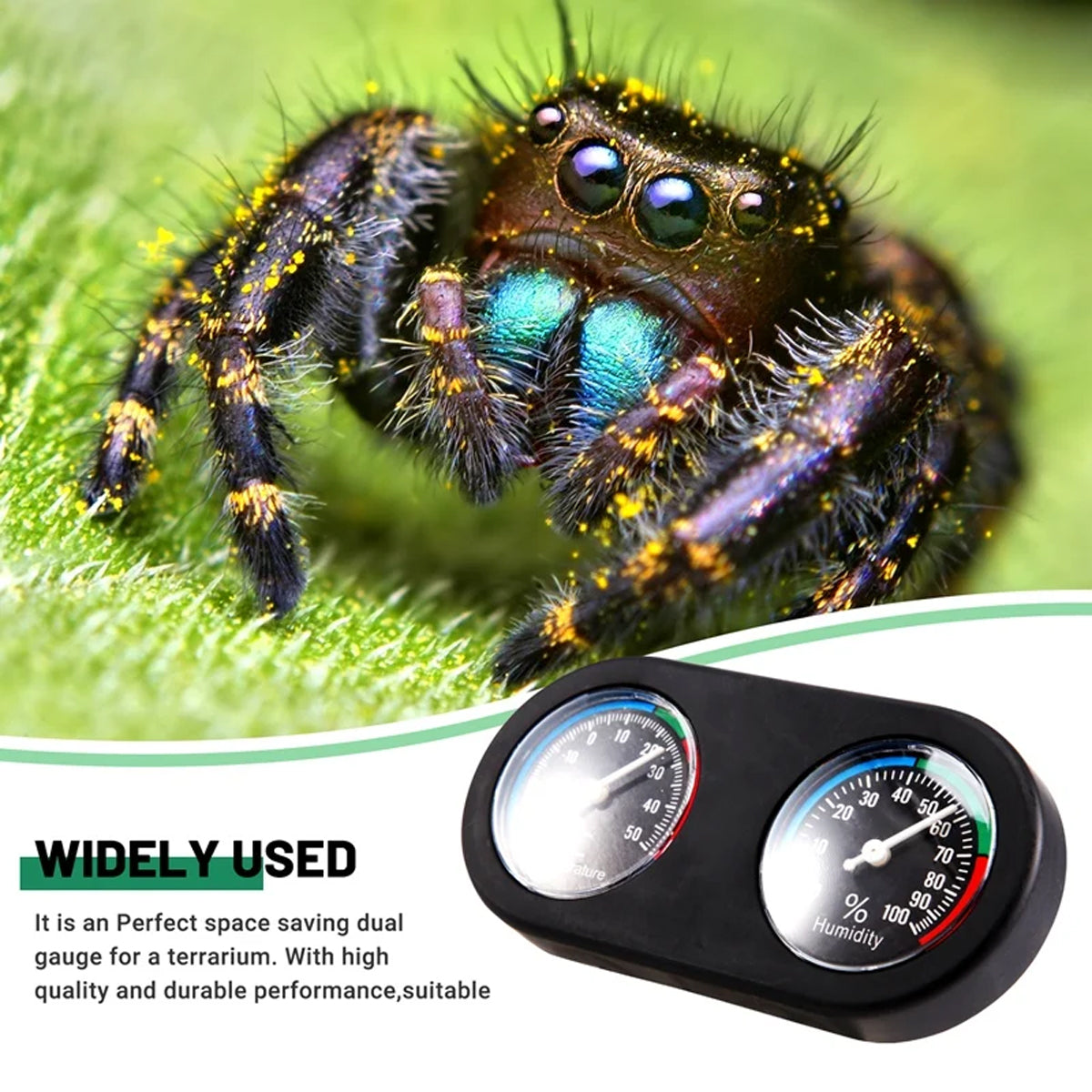 Digital Temperature and Humidity Monitor for Reptile Tank