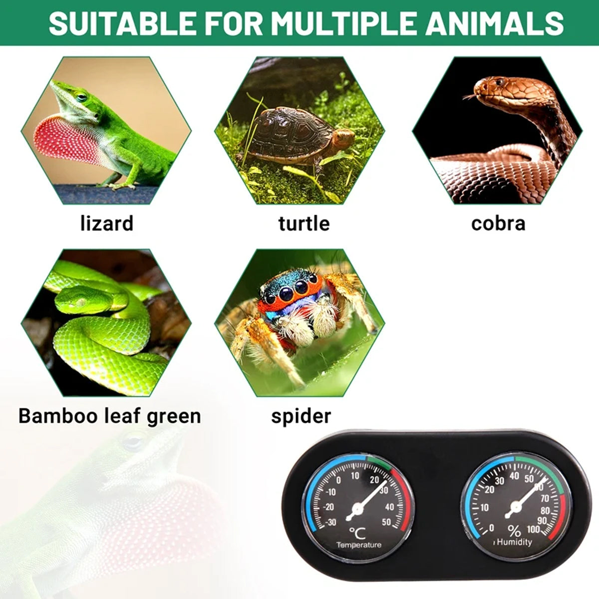 Digital Temperature and Humidity Monitor for Reptile Tank
