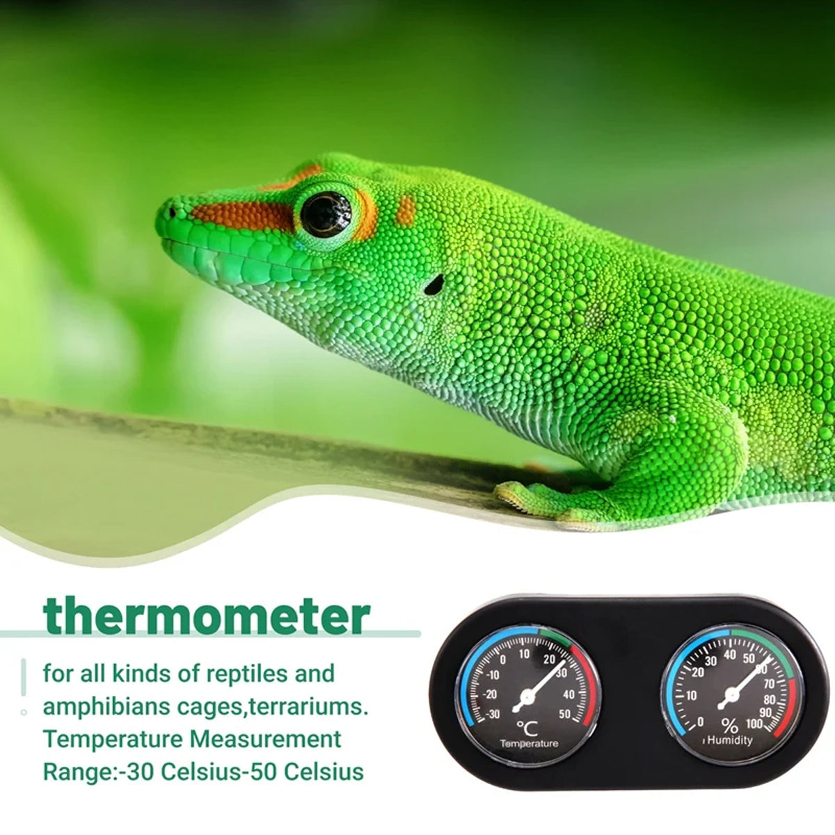 Digital Temperature and Humidity Monitor for Reptile Tank