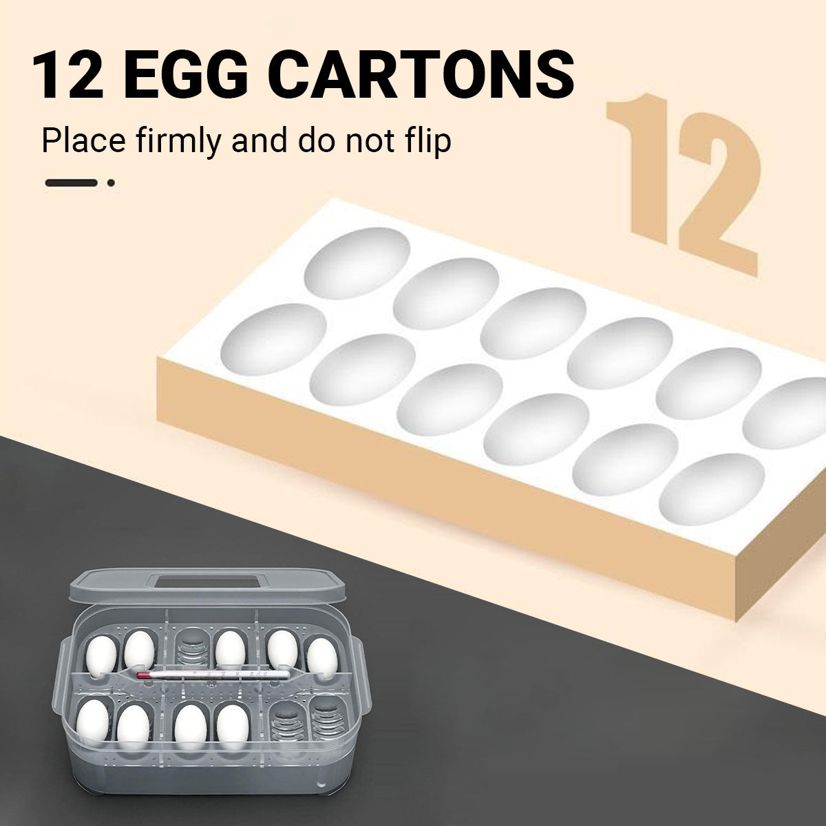 Reptile Egg Incubator Box with 12-Cell Tray and Clear Lid