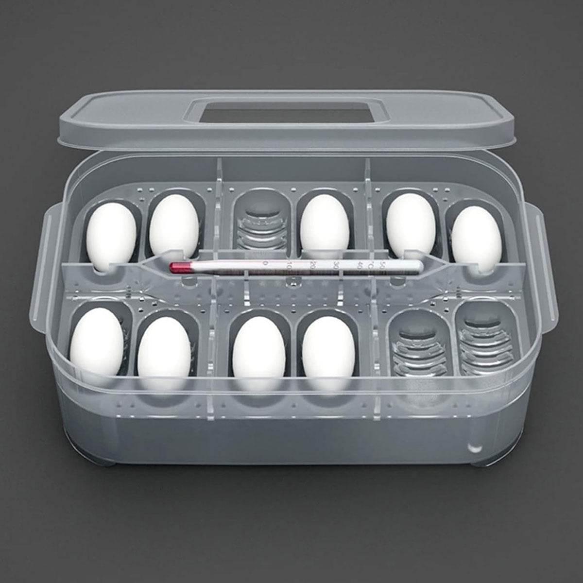 Reptile Egg Incubator Box with 12-Cell Tray and Clear Lid