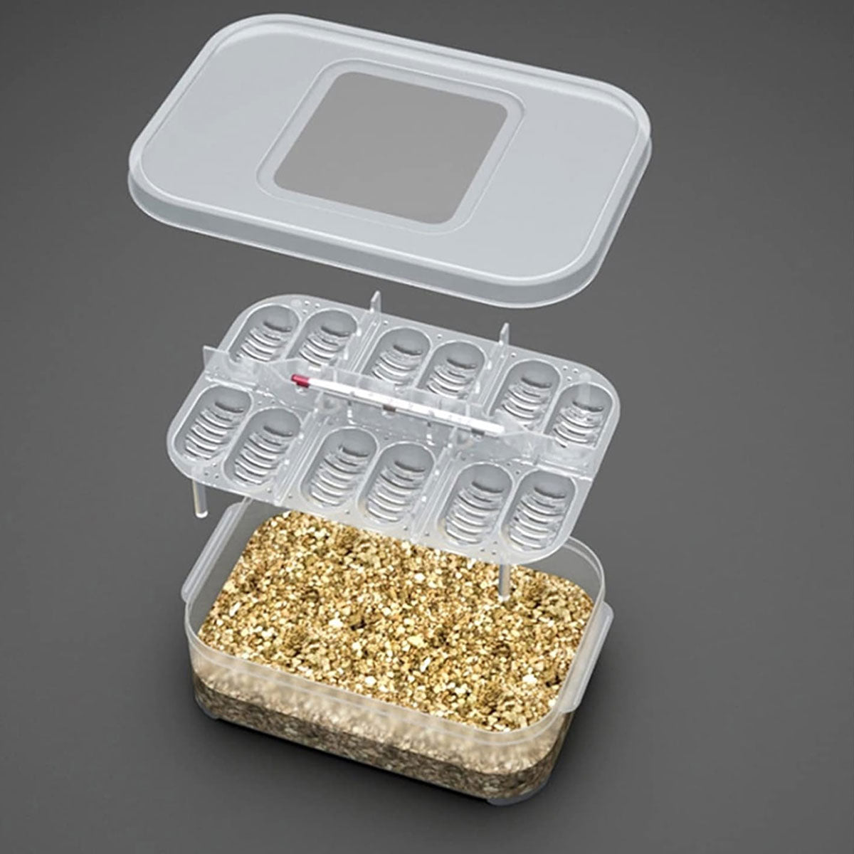Reptile Egg Incubator Box with 12-Cell Tray and Clear Lid