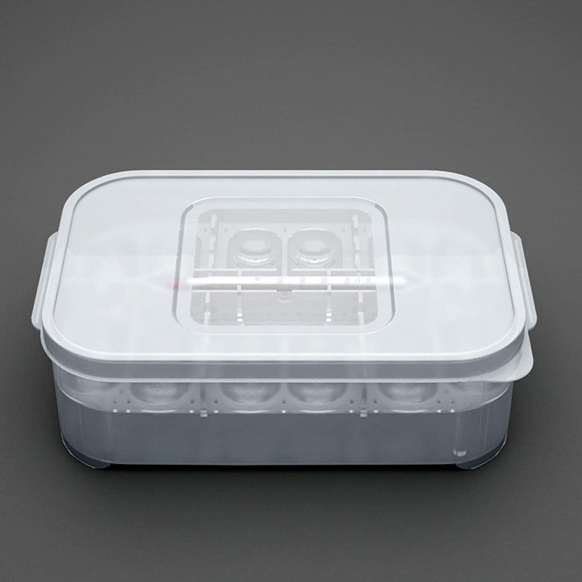 Reptile Egg Incubator Box with 12-Cell Tray and Clear Lid