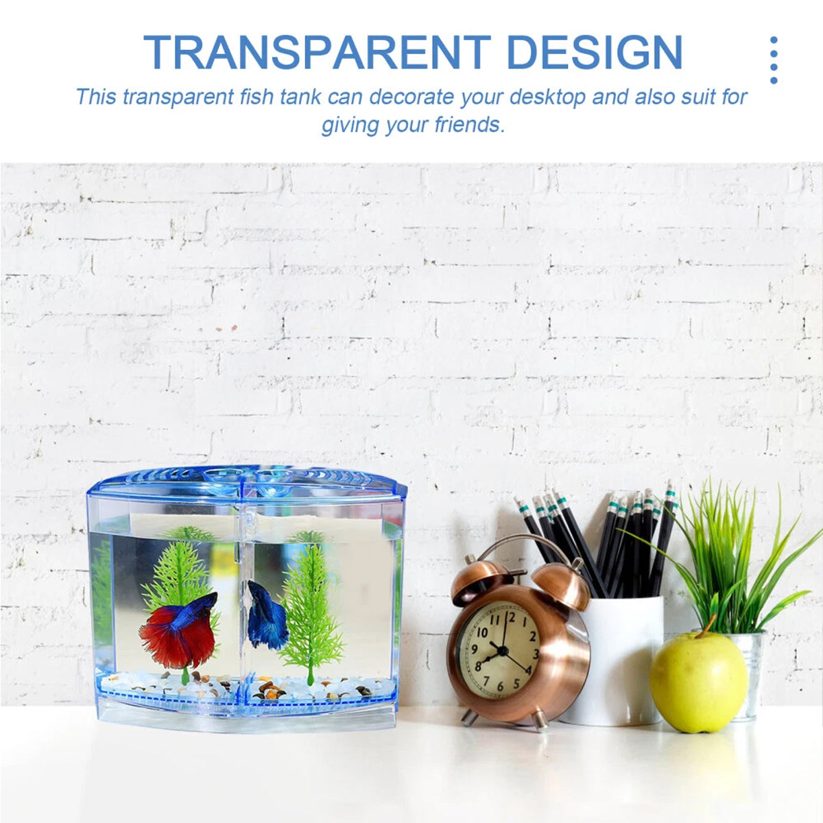 Acrylic Fish Isolation Box Transparent Breeding Tank Divider