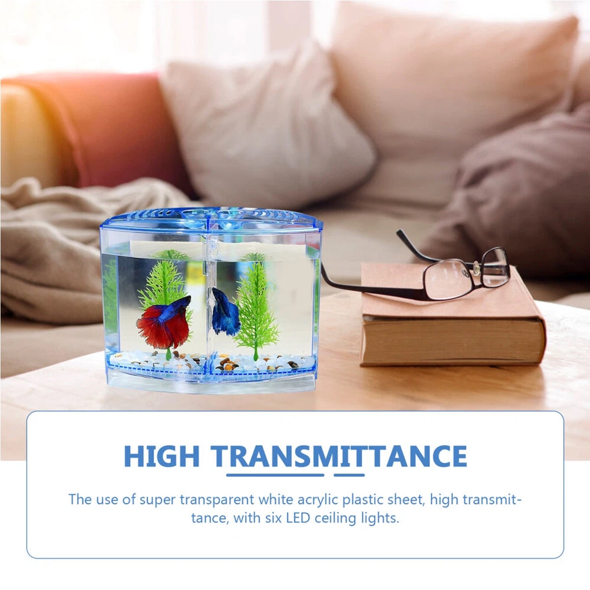 Acrylic Fish Isolation Box Transparent Breeding Tank Divider