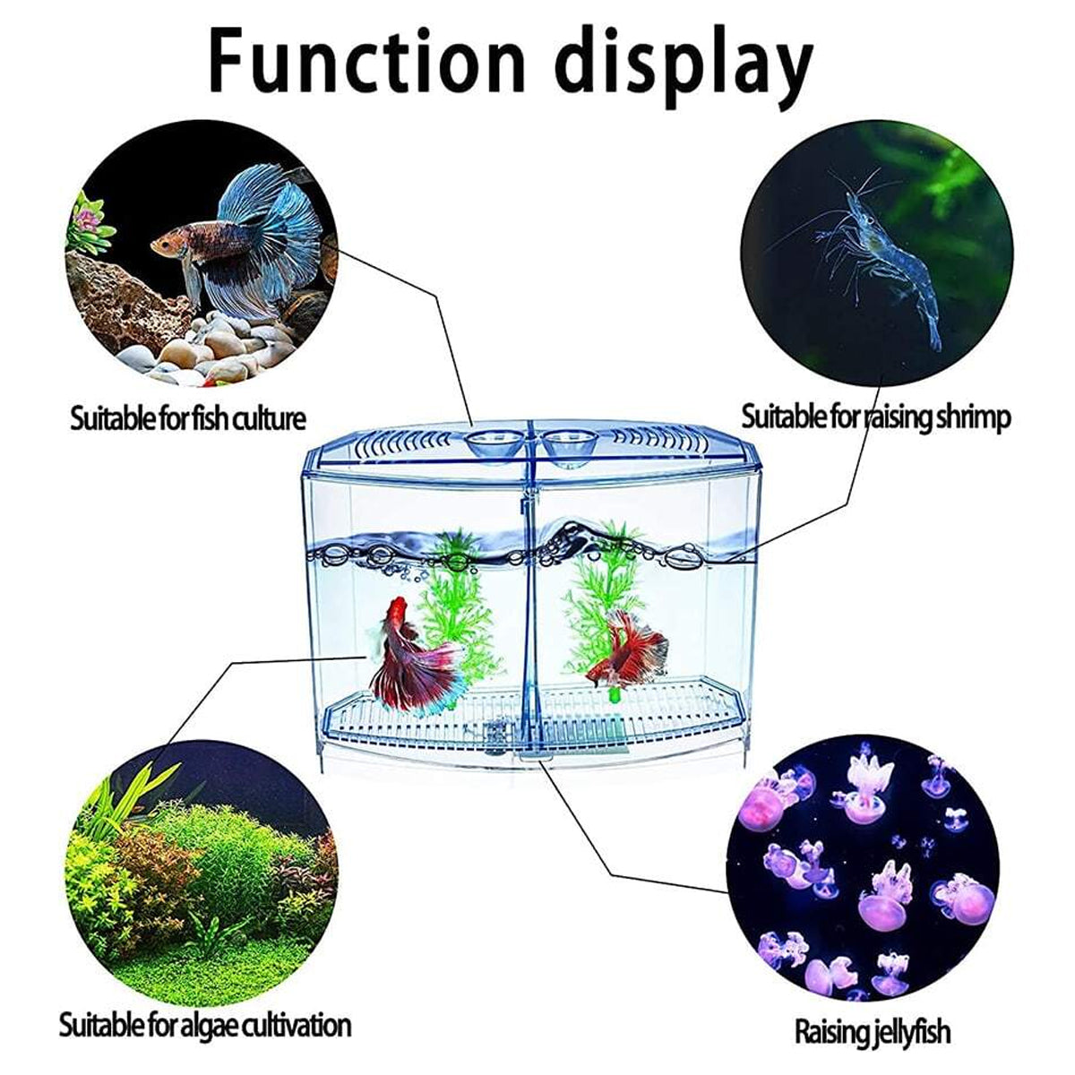 Acrylic Fish Isolation Box Transparent Breeding Tank Divider