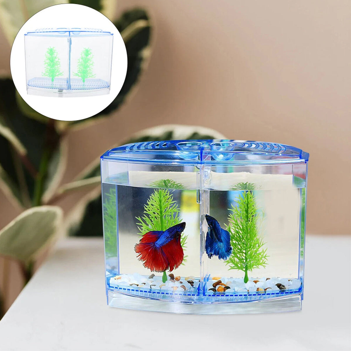 Acrylic Fish Isolation Box Transparent Breeding Tank Divider