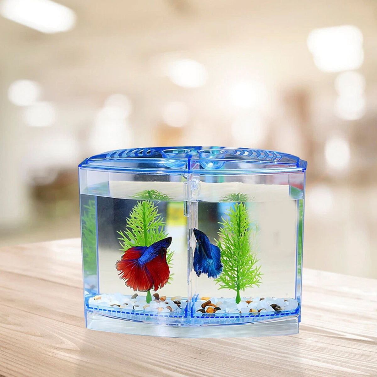 Acrylic Fish Isolation Box Transparent Breeding Tank Divider