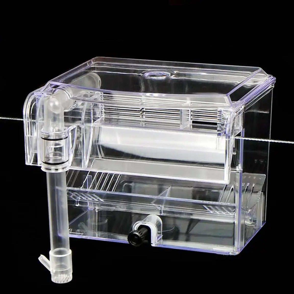 Acrylic Fish Breeding Isolation Box for Guppies and Small Fish