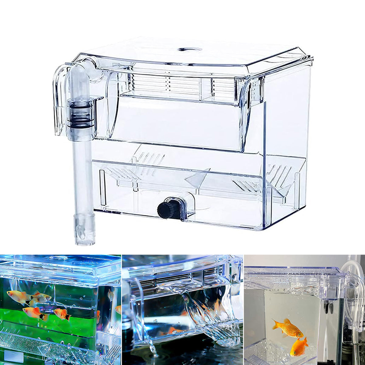 Acrylic Fish Breeding Isolation Box for Guppies and Small Fish