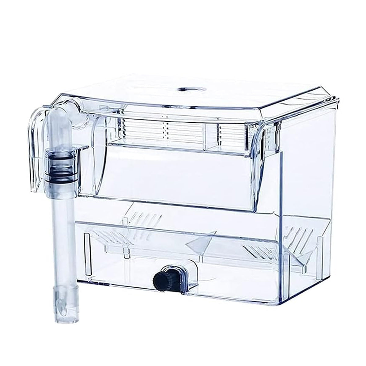 Acrylic Fish Breeding Isolation Box for Guppies and Small Fish