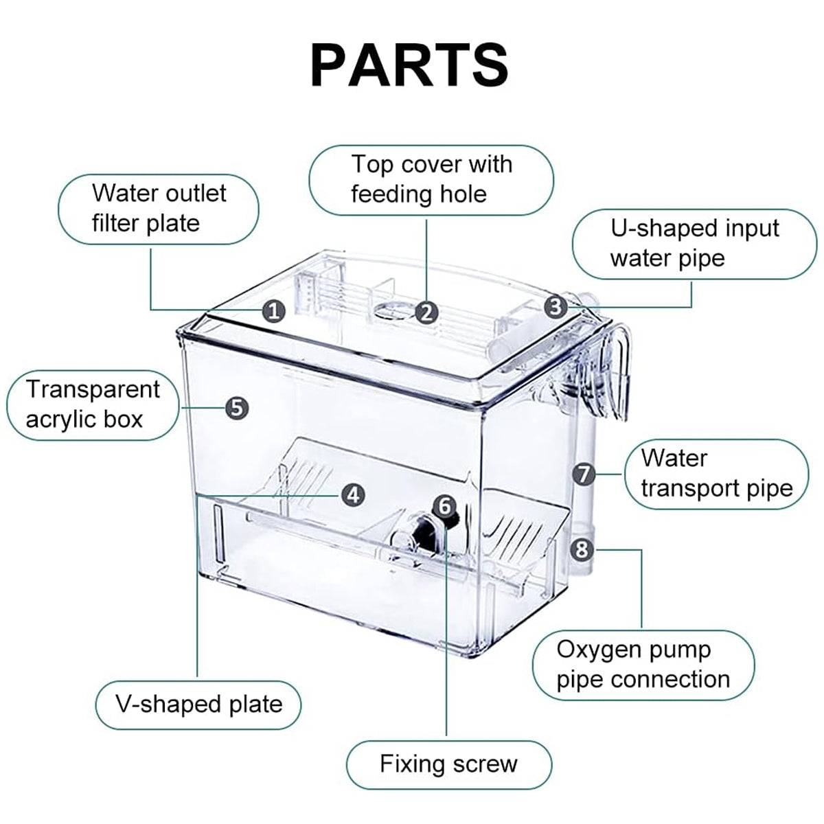 Acrylic Fish Breeding Isolation Box for Guppies and Small Fish