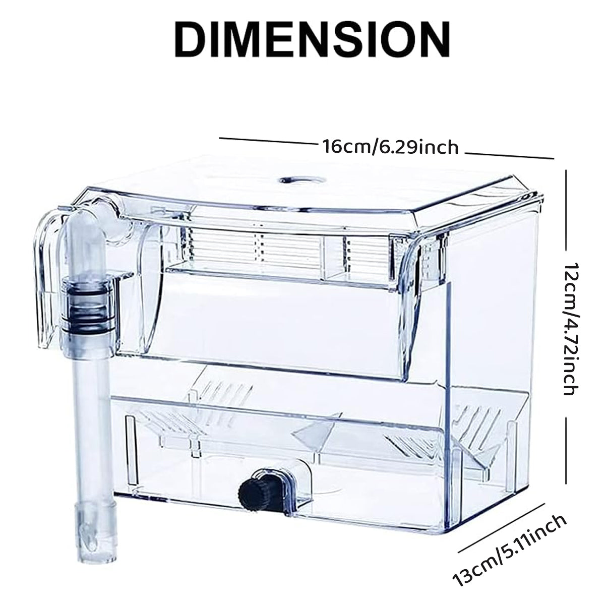 Acrylic Fish Breeding Isolation Box for Guppies and Small Fish